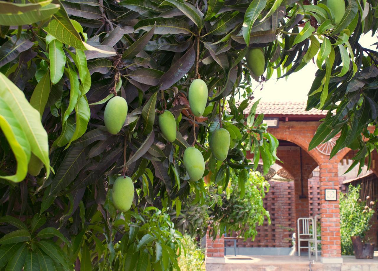 WhatsApp Image 2023-01-30 at 5.42.06 PM