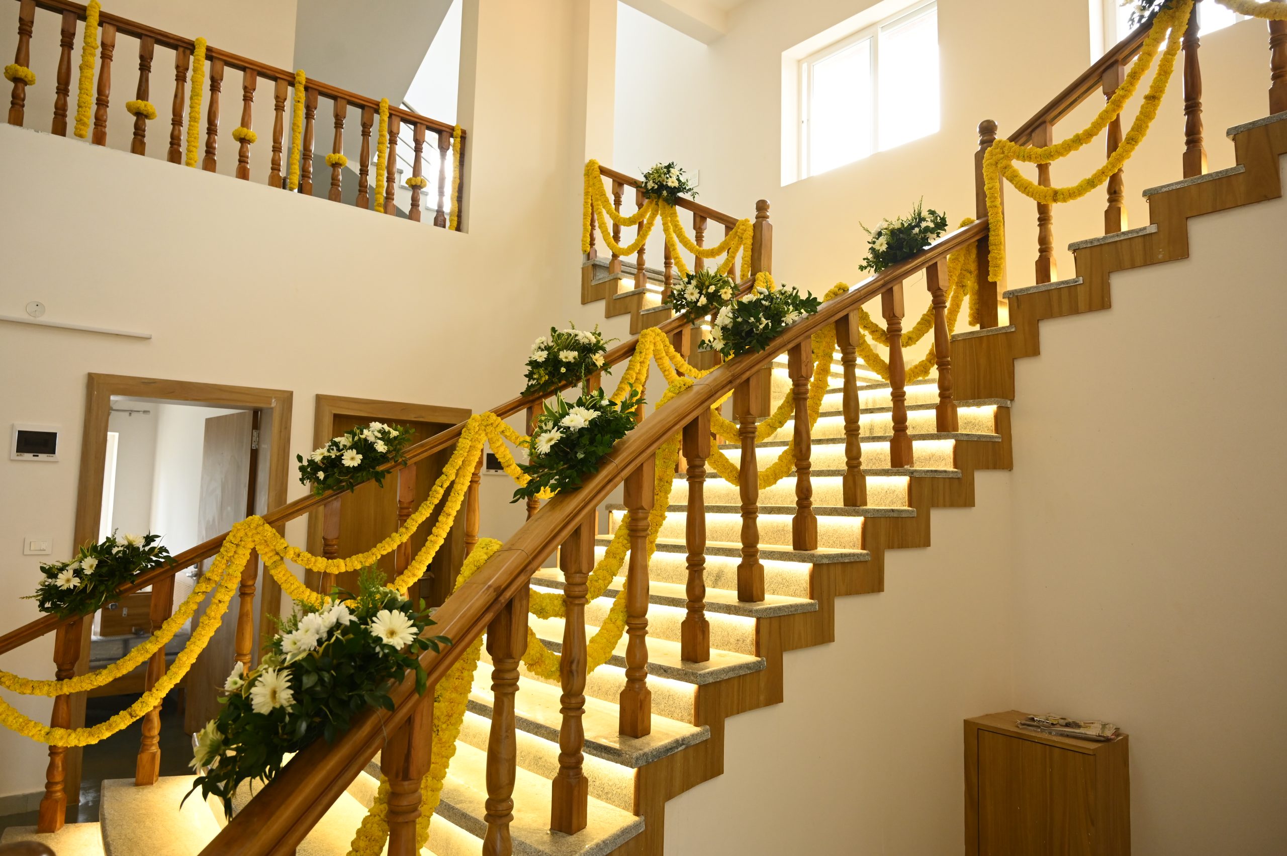 Copy of Copy of DSC_7521